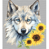 Animal Integration-DW 775